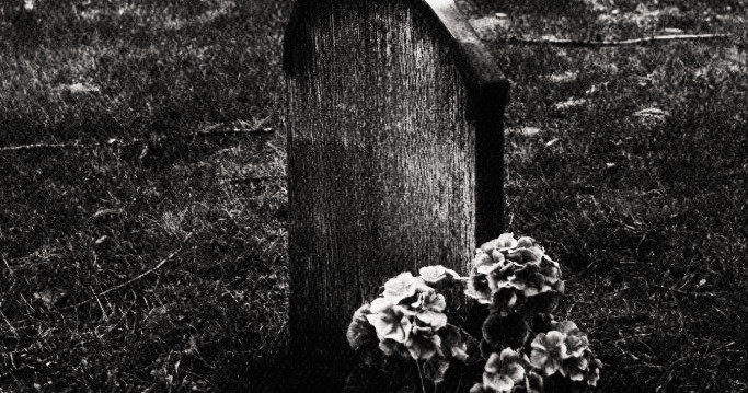 faeriless's tweet image. ᅟᅟᅟᅟᅟᅟᅟᅟᅟᅟᅟᅟᅟᅟᅟᅟ