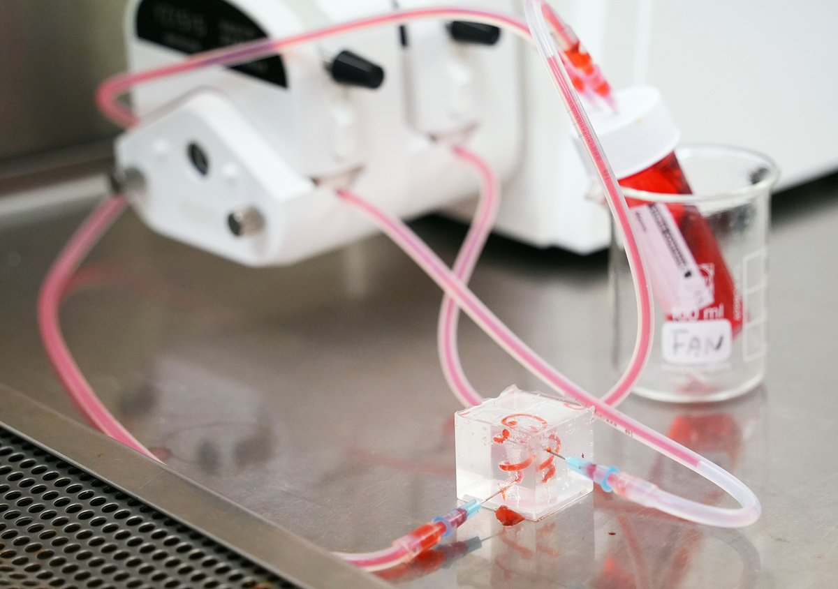 Professor Nancy Man Kwan from <a href="/HKUSurgery/">HKU Surgery</a> has recreated a liver tumour and its surrounding environment in a cube using 3D bioprinting. The invention offers hope for precision medicine to liver cancer patients.

📖Read and 🎧listen now at the #HKUBulletin: bulletin.hku.hk/knowledge-exch…