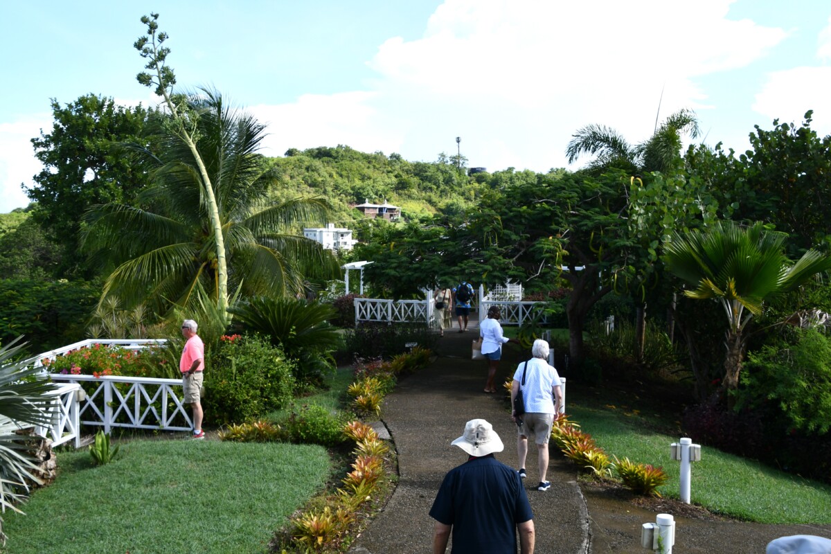 TravelGumbo's tweet photo. #TravelGumbo #FeaturedBlog by @MarilynJones55 #ttot

#StLucia #SpectacularViews #LovelyGardens

TravelGumbo
By Travelers, for Travelers

https://t.co/STqE9T9Zdd https://t.co/Dk6XNz7Lz5