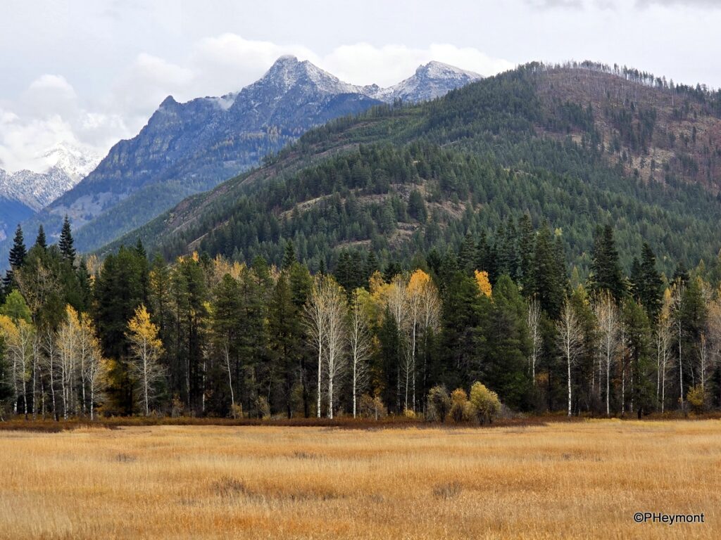 TravelGumbo's tweet photo. #TravelGumbo #FeaturedBlog by #PaulHeymont #ttot

#Roadside in #Idaho #Montana

TravelGumbo
By Travelers, for Travelers

https://t.co/uXm1ia3cCq https://t.co/V3B7ryriz9