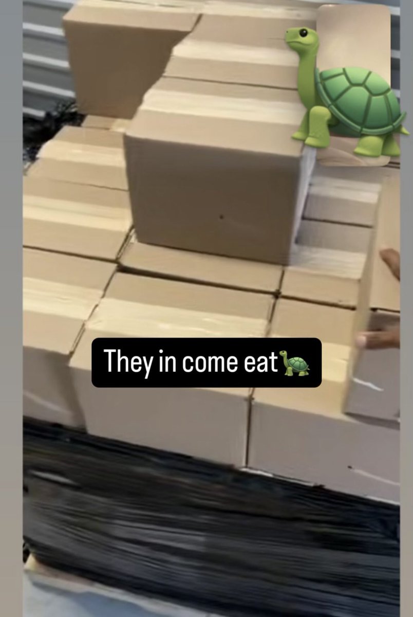 Co3aob's tweet photo. I done made me some plays and put tax on it..It feel good to come all the way back from itWhen you up, they gon' say that you act funny You feel cocky, you actually got money https://t.co/JAlJJo7JhJ