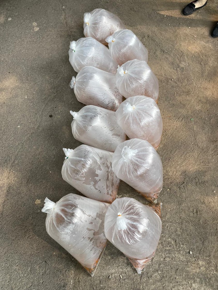 NF_Rosadi's tweet photo. Jum'at, 15/11/24
Nirvani FR, Luhkan Karanganyar
Melaporkan kegiatan penebaran benih ikan nila di aliran sungai bulu alamat Desa Dagen Kec. Jaten sebanyak 2.700 ekor #GiatLuhkanSatminkalTegal #LuhLapor
@pusluh_bppsdm
@PKBLU_bp3tegal https://t.co/KgookeUXAb