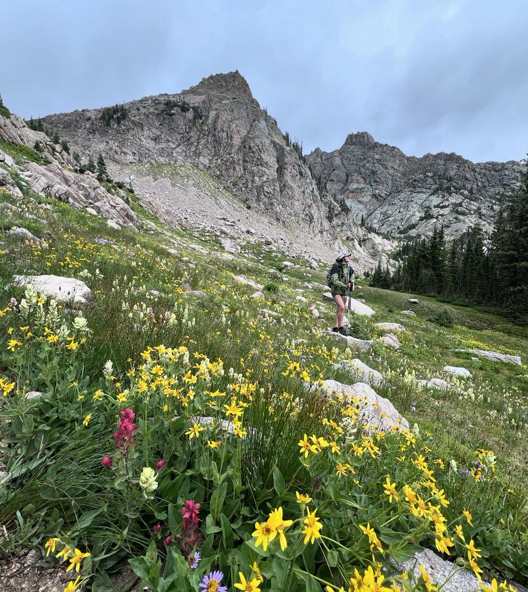 RandySun's tweet photo. New map in RMNP unlocked.
I’ve never seen so many different wildflowers in Colorado before. It was sooooo beautiful!

📷IG@shelby.in.the.mountains
#randysun #randysunsocks #waterproofsocks #sports #outdoors #hiking #hikers #camping #backpacking #mountaineering #Mountaineers https://t.co/0UTjWW1StO