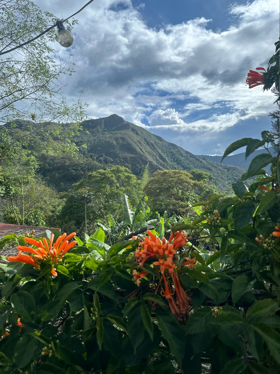 Spanish Cuentos tweet media