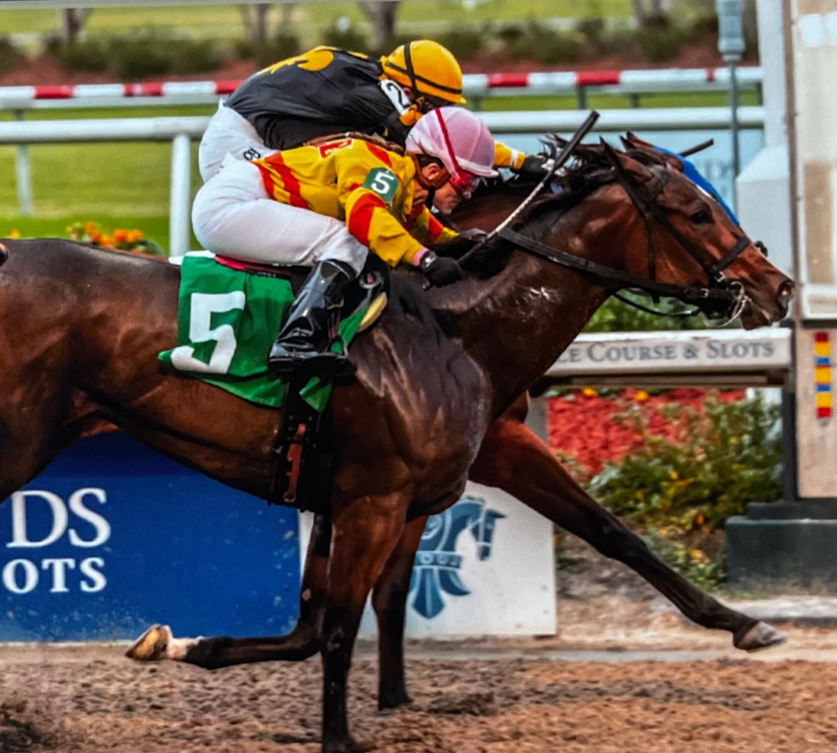 Erica Murray tweet media