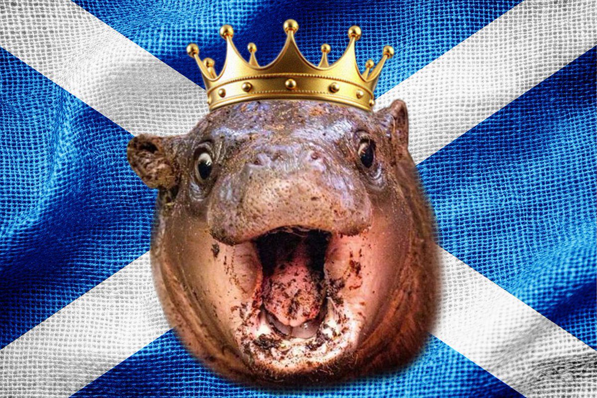 CryptoZoologiss's tweet photo. @BrowncowX @beeple I love the $HAGGIS!π₯°π€
#HAGGIS will be a Global Iconic Symbol soon. The Princess of Scotland #pygmyhippos
@haggishipposol
#crypto #memecoins #Solana https://t.co/kiuHHVKuwe