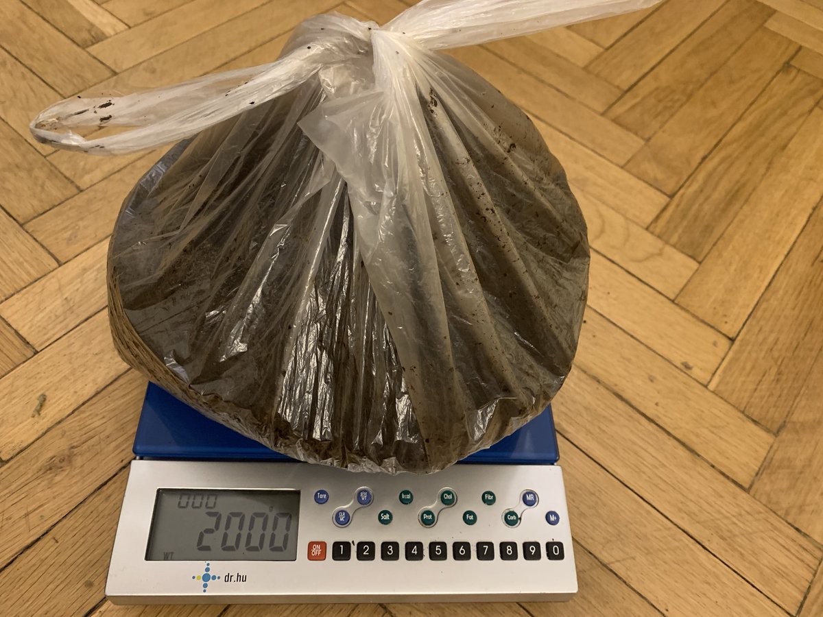 lombrimania's tweet photo. Y finalmente hoy 15/12 iniciamos con el experimento de cuanta materia orgánica y residuos orgánicos podemos reciclar en un año?

- 2000 gramos de lombricompost
- 700 gramos de hojas secas
- 2900 gramos residuos orgánicos
- 9 lombrices (eisenia fetida)

Que arranque el contador 👏🏼 https://t.co/LqpccNEXYw