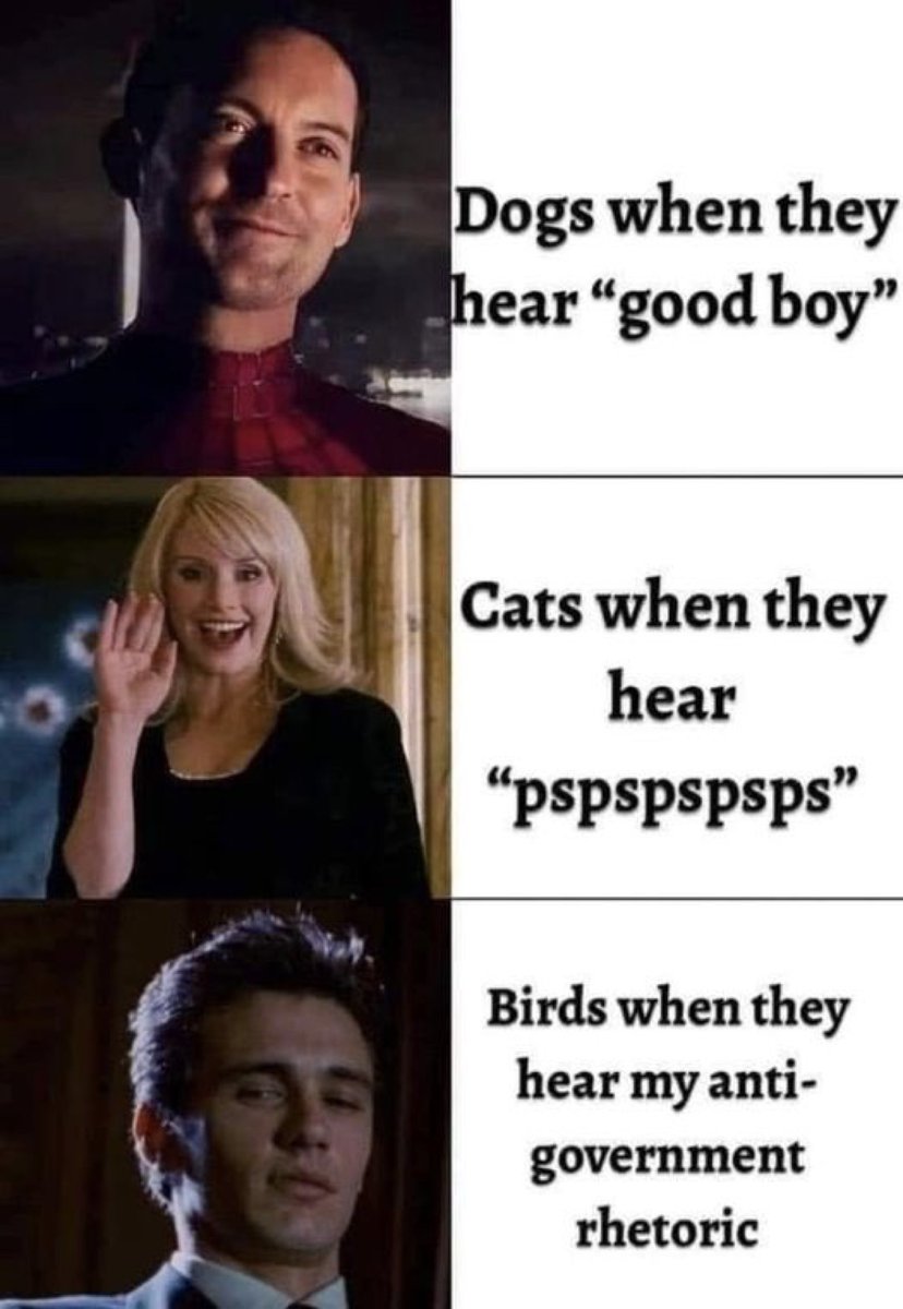 no context memes tweet media