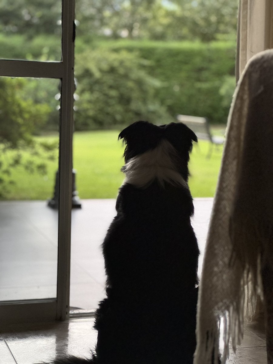 _mbmartinez's tweet photo. @twaniimals ❤️ https://t.co/eJGZmvYMUU