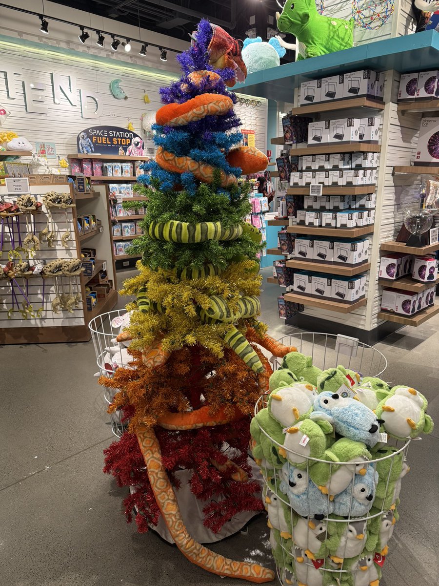 itsalicetime's tweet photo. @JennyENicholson Christmas snake tree. https://t.co/b9kZNmKENU