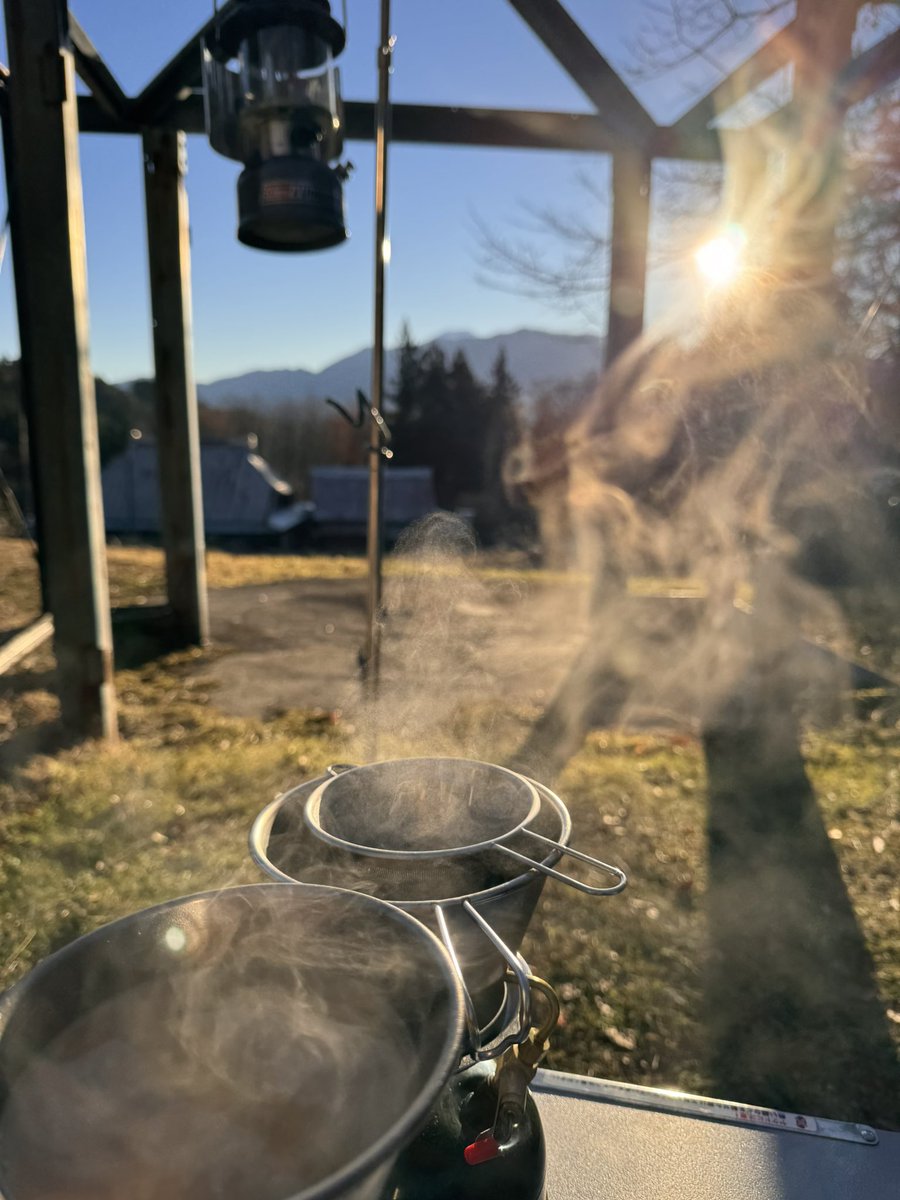 オコジョ tweet media