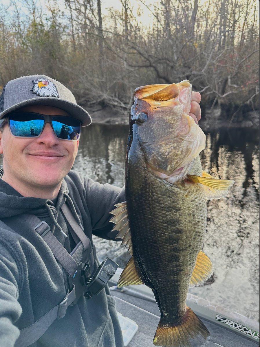 Kickin Their Bass TV tweet media