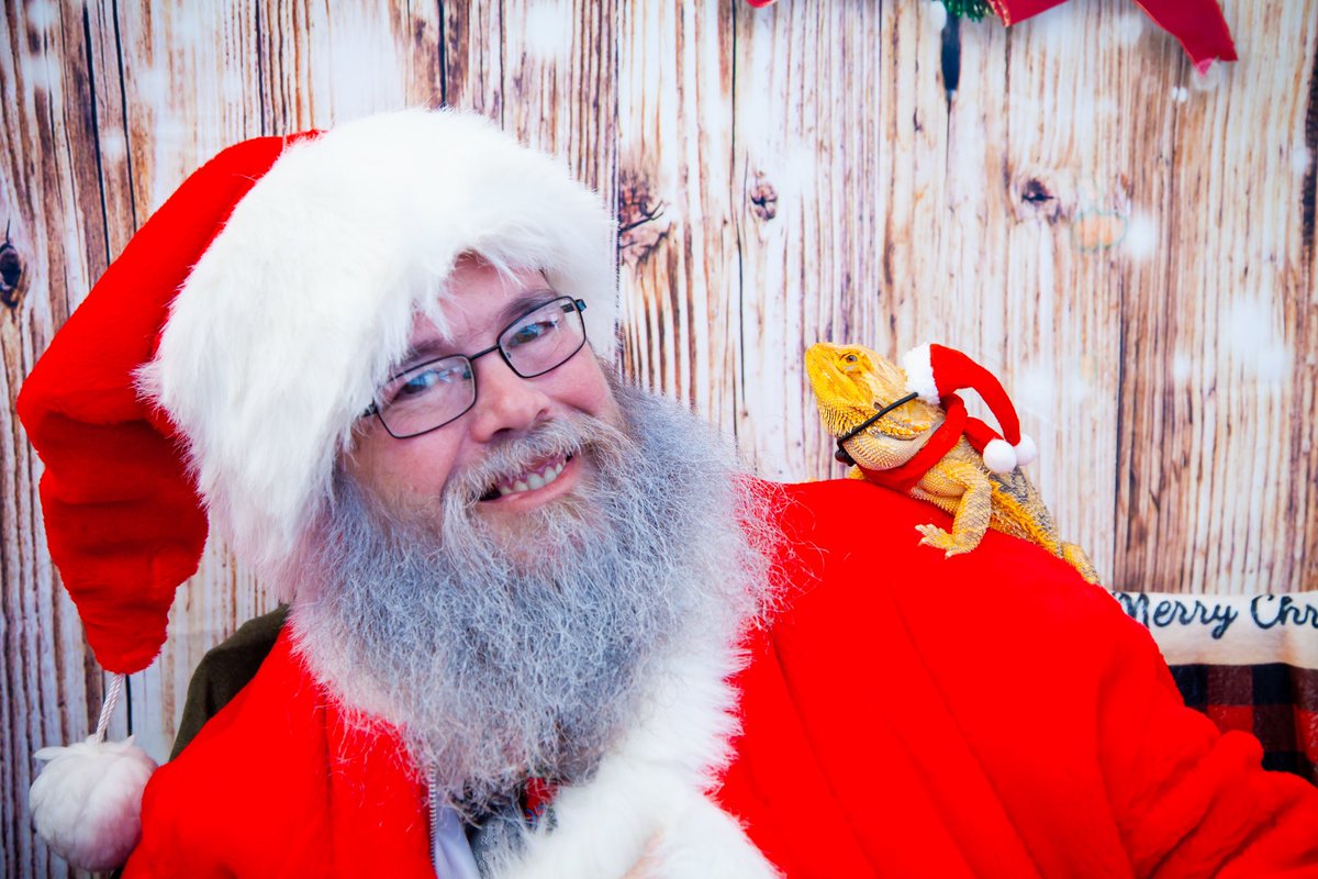 LilithsKore's tweet image. Hoggle got to meet Santa! ❤️
#SantaClaus #beardeddragon #meetingsanta #reptilelover