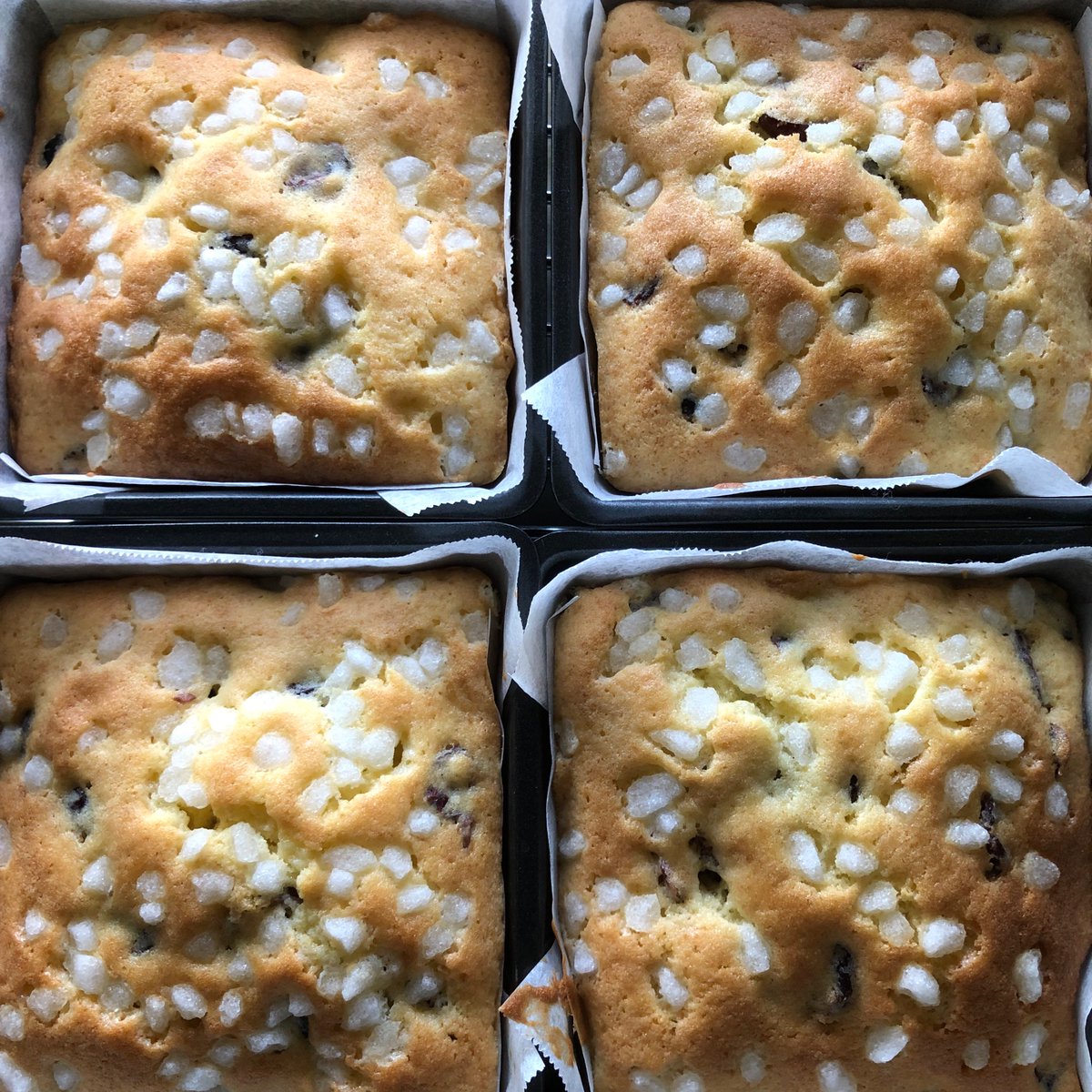 AlbanySt_NW1's tweet photo. Farmhouse cake🤍
具材はサルタナレーズンが定番ですが少量のキルシュで漬け込んだクランベリーを具材にしてみました😃具材で遊べるのでとーっても大好きなレシピです✨小さく焼いて三角カットにするのがお気に入り🔼🔼
#farmhousecake #mrkipling https://t.co/leo0Pmnsyx