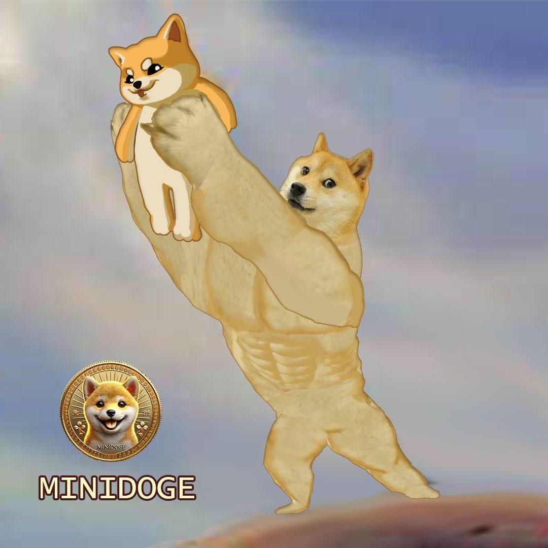 MINIDOGE_X's tweet photo. @cb_doge So it's me #MINIDOGE https://t.co/8JU8HH9wJO
