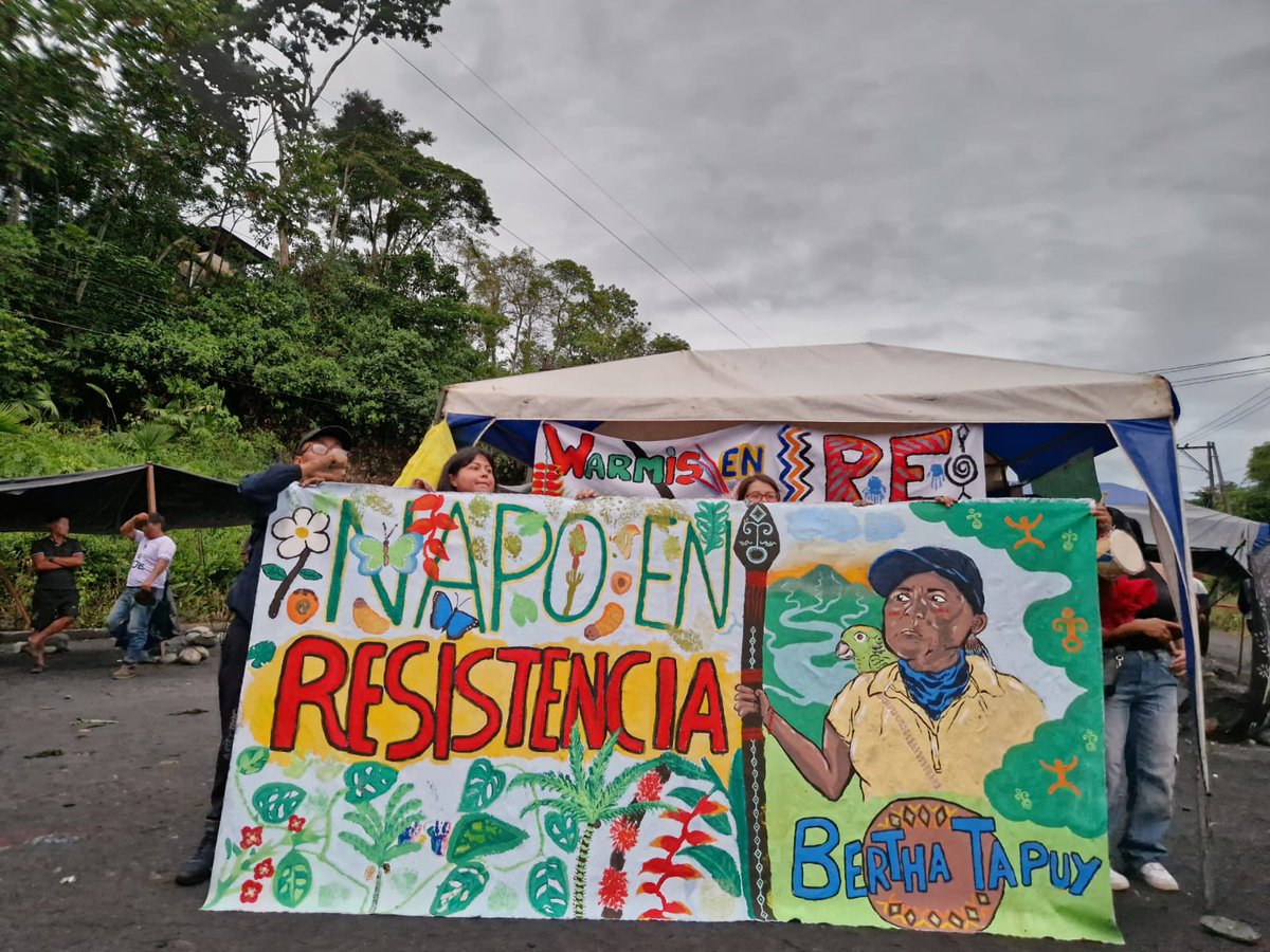 <a href="/DanielNoboaOk/">Daniel Noboa Azin</a> La Amazonía es una región especial reconocida por la Constitución, su cultura y sus frágiles ecosistemas deben ser protegidos.

#NoALaCárcel
#Napo
#AmazoníaEnResistencia