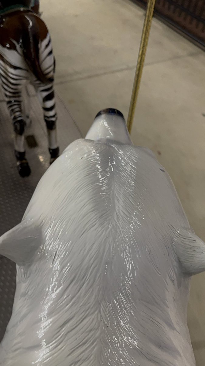 cincygreghoodin's tweet photo. Just kinda taking a spin on this here polar bear @CincinnatiZoo #festoflights on a #zootiful night #DoTheZoo #withanhtotheotithehohoho ! #TisTheSeason to get down with your #whohaday #hohoday and or #holiday loving self and add a little #HolidayCheer to your #holidayseason gotta dig those #holidayvibes #BearcatVibes and #Cincyvibes #BeASanta aka #SantaClsus while you enjoy the #holidaysincincy #sundayincincy #sundayvibes