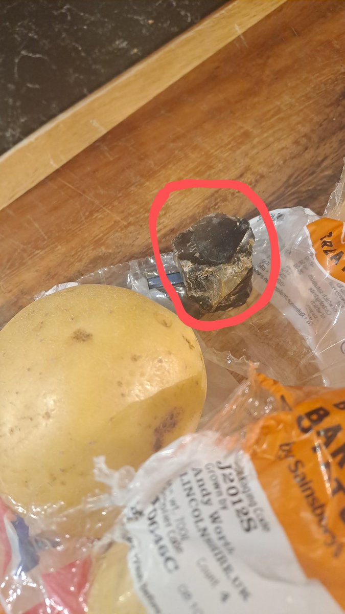 Graham Harlow tweet media