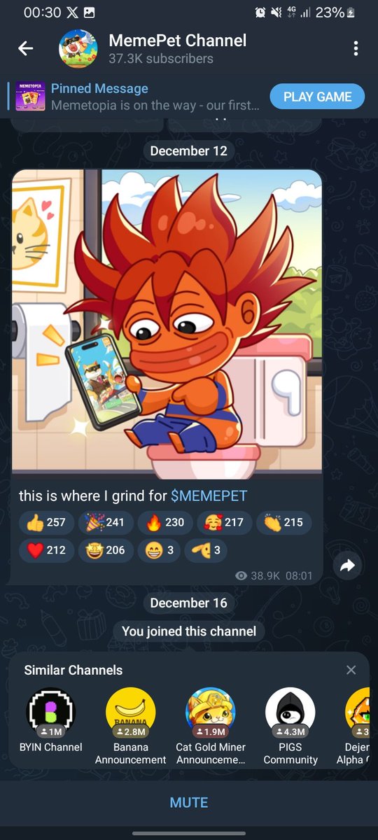 Shiloh tweet media