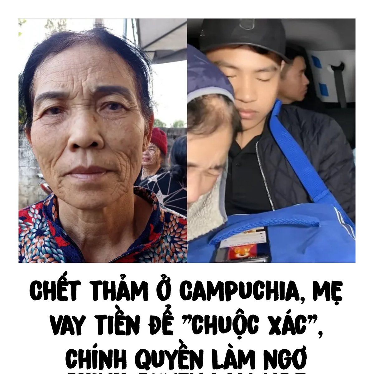 Tuấn Ban Mê 🇺🇲 tweet media