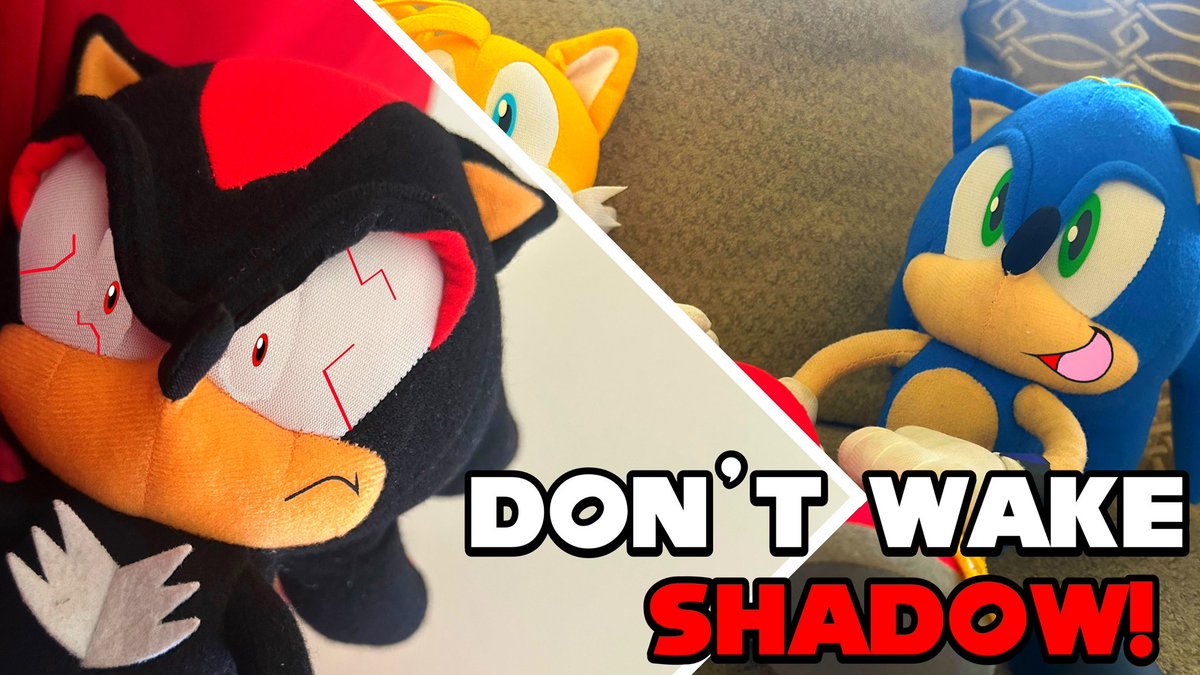 CCDP1120's tweet photo. Whatever you do, DO NOT WAKE UP SHADOW!!! https://t.co/Umv7Kogfoy