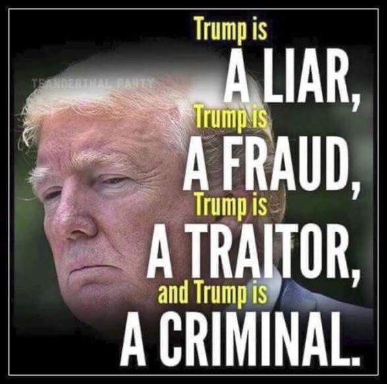 Phoenix Wise & The Resistance Ⓥ ✊🏽 (@thegr8illusion) on Twitter photo <a href="/mmpadellan/">BrooklynDad_Defiant!☮️</a> so true!! tRump supporters are so stupid, it's not even funny anymore. <a href="/mmpadellan/">BrooklynDad_Defiant!☮️</a> so true!! tRump supporters are so stupid, it's not even funny anymore.