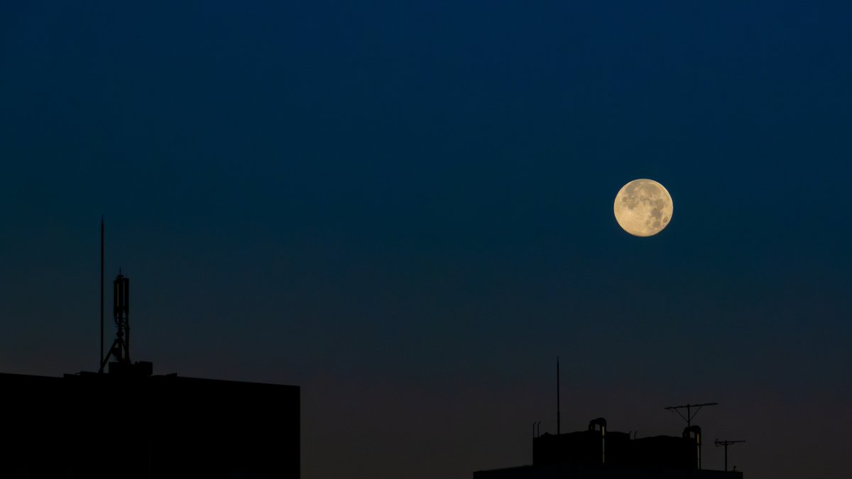 muto_fukudoya's tweet photo. 今朝のお月様も満月?
昨日のやつより好きな感じ
Is this morning’s moon also a full moon?
I like it better than yesterday’s.
#DecemberMoon https://t.co/Yg6pVItrLI