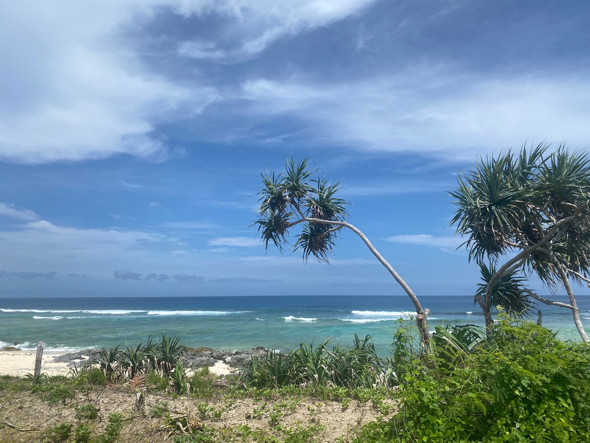 Climat : l'"immense déception" des pays vulnérables devant la Cour internationale de justice