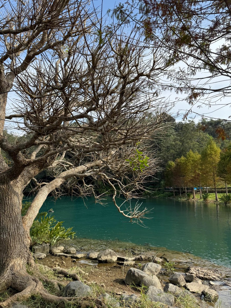 The weather at Sun Moon Lake today is wonderfully pleasant.