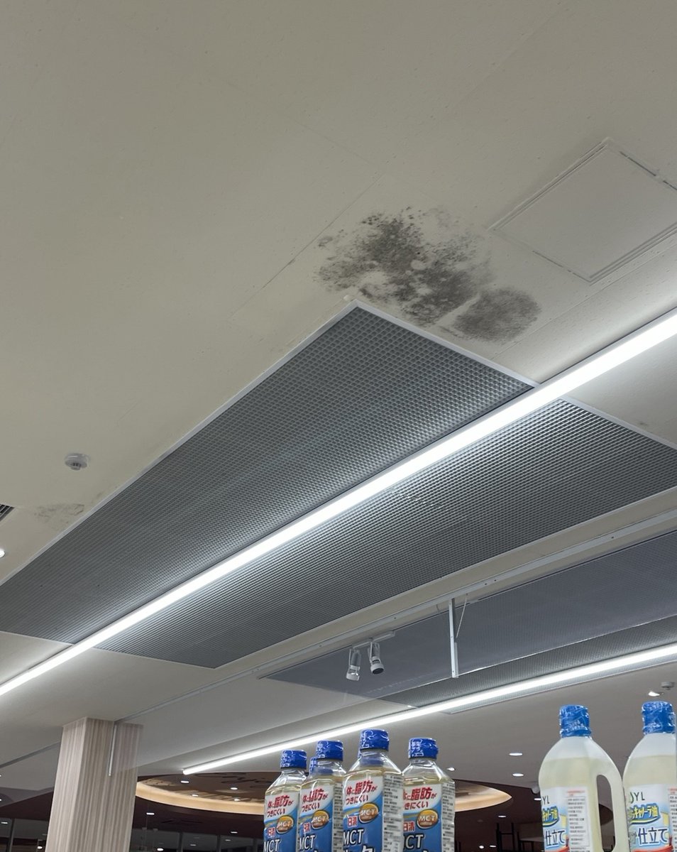 🌟【#キャンペーン応募ありがとうございます！】🌟
みなさん、こんにちは！✨
ただいま実施中の 「スーパーマーケット天井カビ対策キャンペーン」 に、たくさんのご応募をいただきありがとうございます！ 🙏

instagram.com/p/DDnh-12TO-r/…