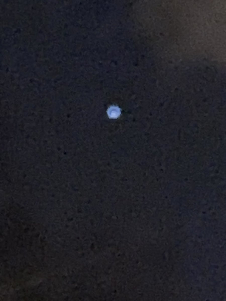 SereneHighness7's tweet image. The first video/still frame I took from my front porch 1/18/2021. 
Then there’s this video/TikTok posted yesterday from Mendham NJ. 
#Ophanim 😇☝🏻🙏🏻❤️✨✝️