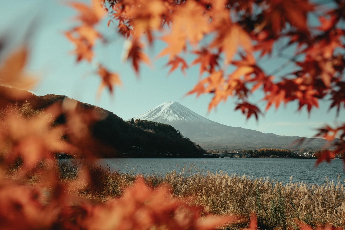 riki_shinagawa tweet picture