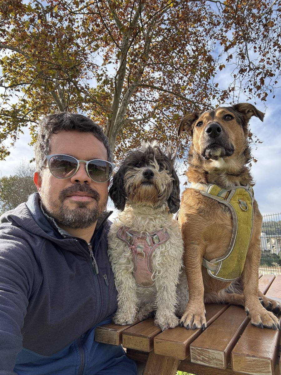 brunicos's tweet photo. @twaniimals https://t.co/f67canjJo6