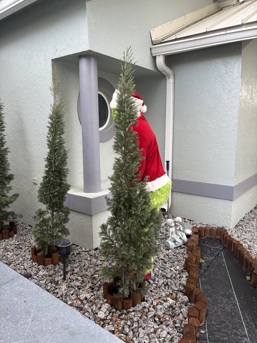 PartyEnter tweet media