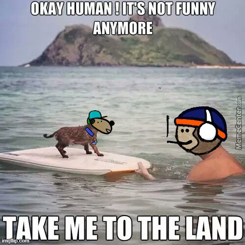 narkamoto_nft's tweet photo. Yes human its time to go! #woof #mfers #mfer #mfer_sob https://t.co/bTiVHcSFbC
