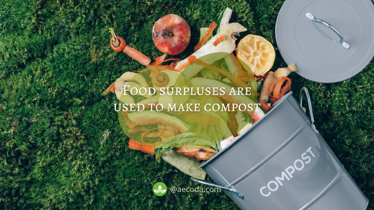aecoda_com's tweet photo. Food surpluses are used to make compost.

#ZeroWaste #DesperdicioAlimentario #FoodWaste #Food #Change #Contamination #Contraeldesperdicio #Desperdicio #Savemoney #Garbagefood #Trash https://t.co/htJUwnrnM6