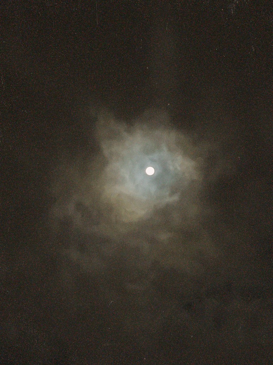 _reyhb_'s tweet photo. just west filter 🌕 https://t.co/1Mhp9zCnbE