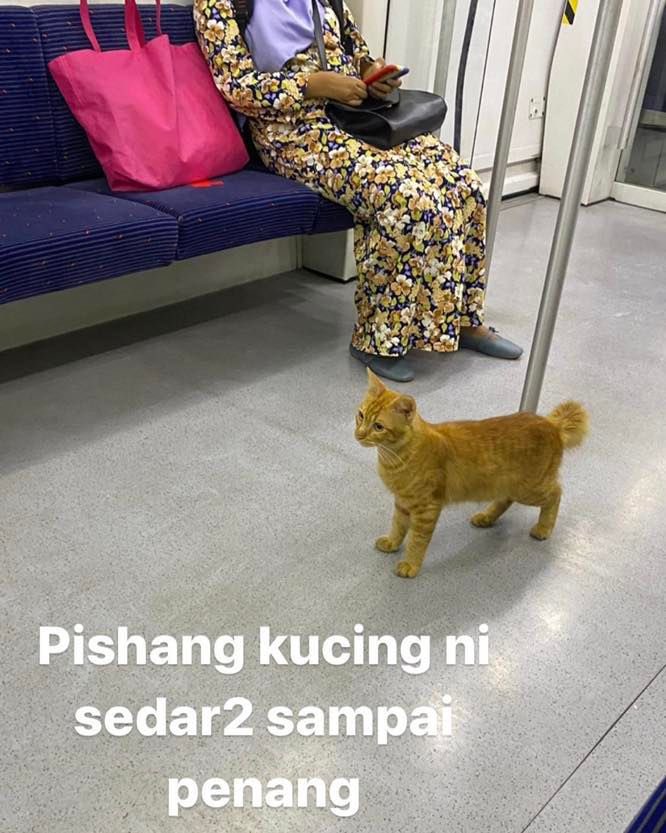 malaymango's tweet photo. nothing more annoying than not paying attention and getting off the wrong floor https://t.co/OvI7GwmCCR