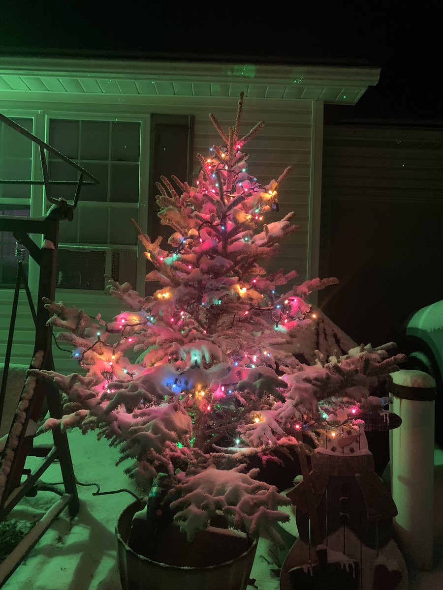 terrydf45's tweet photo. Just our little outside Christmas tree on this snowy evening 
#Christmas2024 https://t.co/mkbL2VhLRc