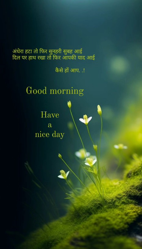Good morning