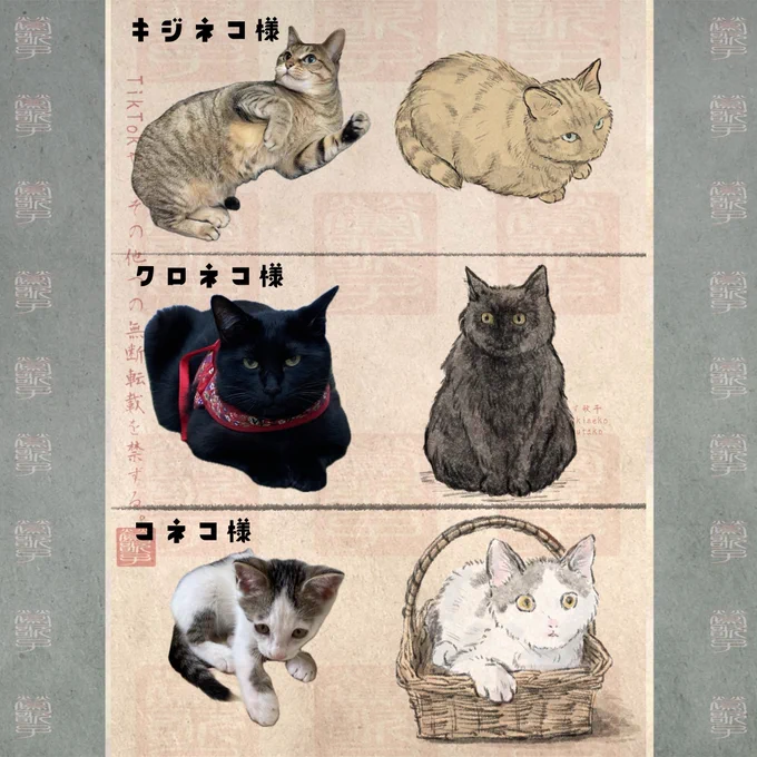 マンガのモデルの、猫。 