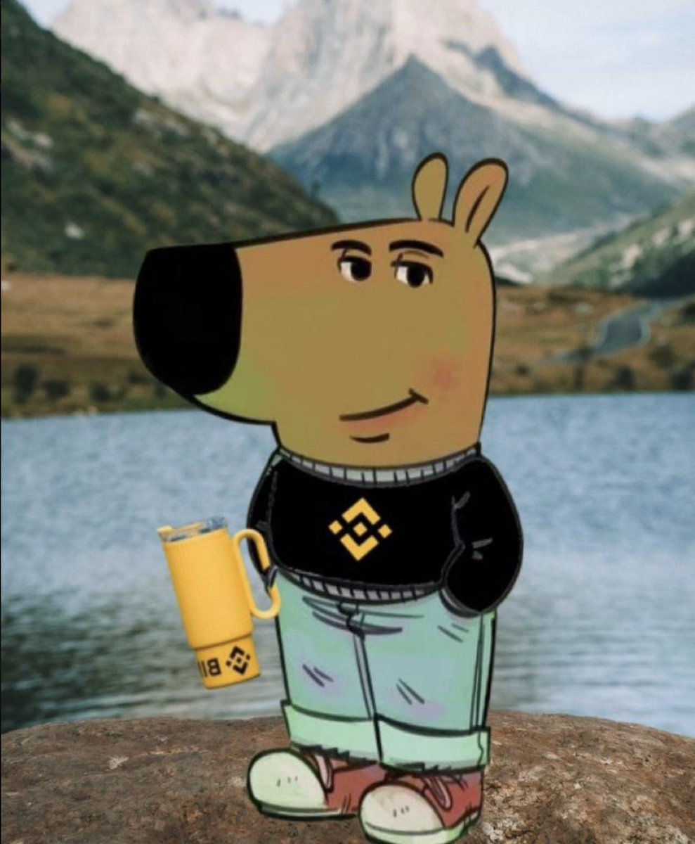 chillguycto's tweet photo. @binance memecoins are chill. https://t.co/SqwO6amlvL