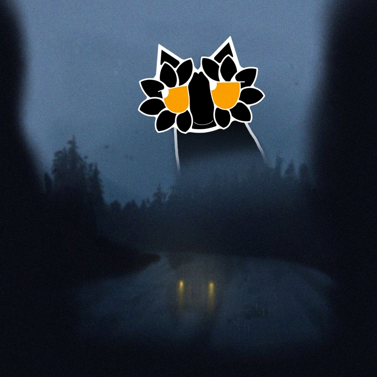 wain 🟠 tweet media