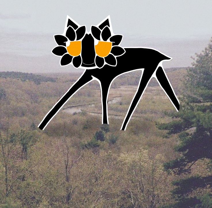 wain 🟠 tweet media