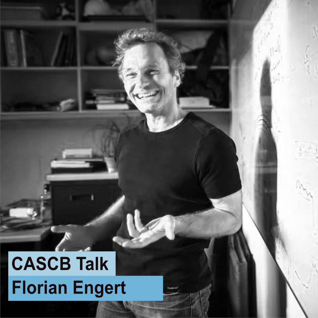 Centre for the Adv Study of Collective Behaviour (@cbehav) on Twitter photo We are excited to welcome Florian Engert from Harvard University to today's <a href="/CBehav/">Centre for the Adv Study of Collective Behaviour</a> Seminar Series, where he will discuss "The heart and the mind: an integrative approach to brain-body interactions in the zebrafish" exc.uni-konstanz.de/collective-beh… <a href="/UniKonstanz/">Universität Konstanz</a> <a href="/MPI_animalbehav/">MPI-AB is on Bluesky @mpi-animalbehav.bsky.social</a> <a href="/EngertLab/">Florian Engert</a> We are excited to welcome Florian Engert from Harvard University to today's <a href="/CBehav/">Centre for the Adv Study of Collective Behaviour</a> Seminar Series, where he will discuss "The heart and the mind: an integrative approach to brain-body interactions in the zebrafish" exc.uni-konstanz.de/collective-beh… <a href="/UniKonstanz/">Universität Konstanz</a> <a href="/MPI_animalbehav/">MPI-AB is on Bluesky @mpi-animalbehav.bsky.social</a> <a href="/EngertLab/">Florian Engert</a>