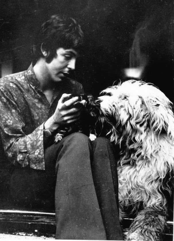 thefab4archive's tweet photo. Paul McCartney showing his cats Tiger and Thisbe to Martha, 1967. https://t.co/uICO80yxVn