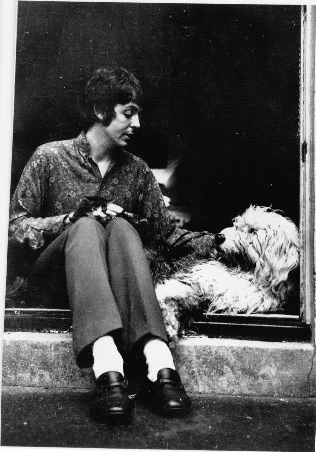 thefab4archive's tweet photo. Paul McCartney showing his cats Tiger and Thisbe to Martha, 1967. https://t.co/uICO80yxVn
