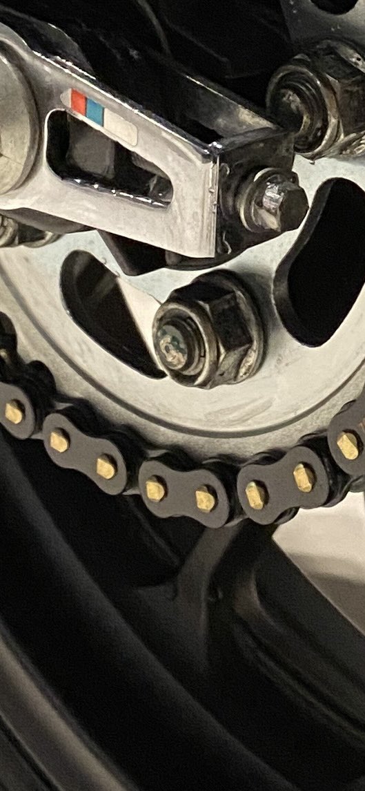 ✨😸Nyanko😸✨ tweet media