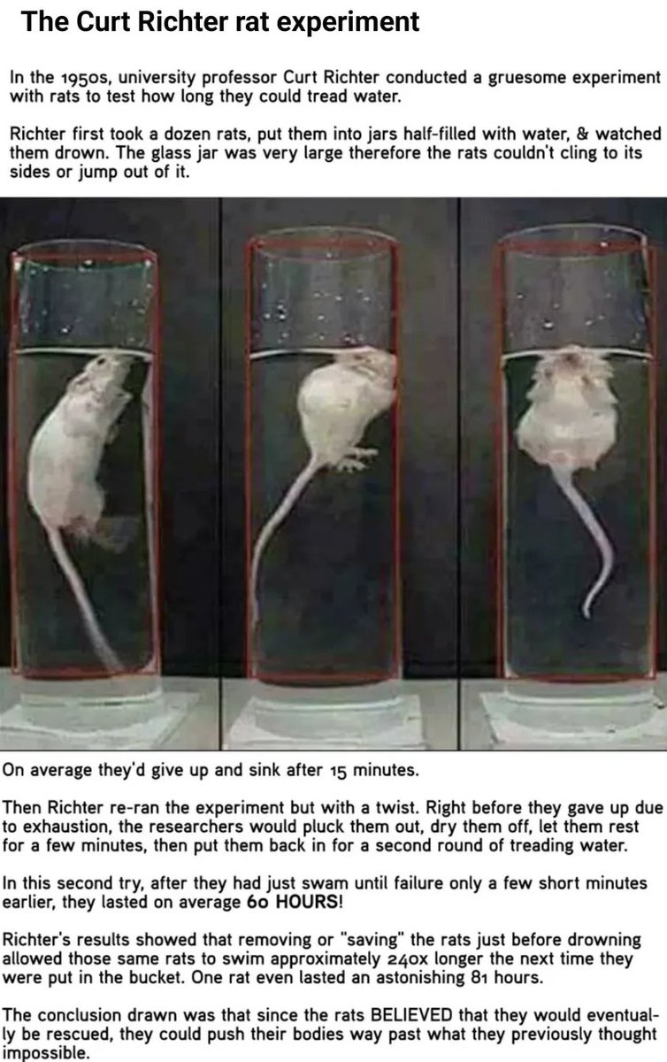 _anoneng's tweet image. Whenever I think of democracy I'm reminded of this: