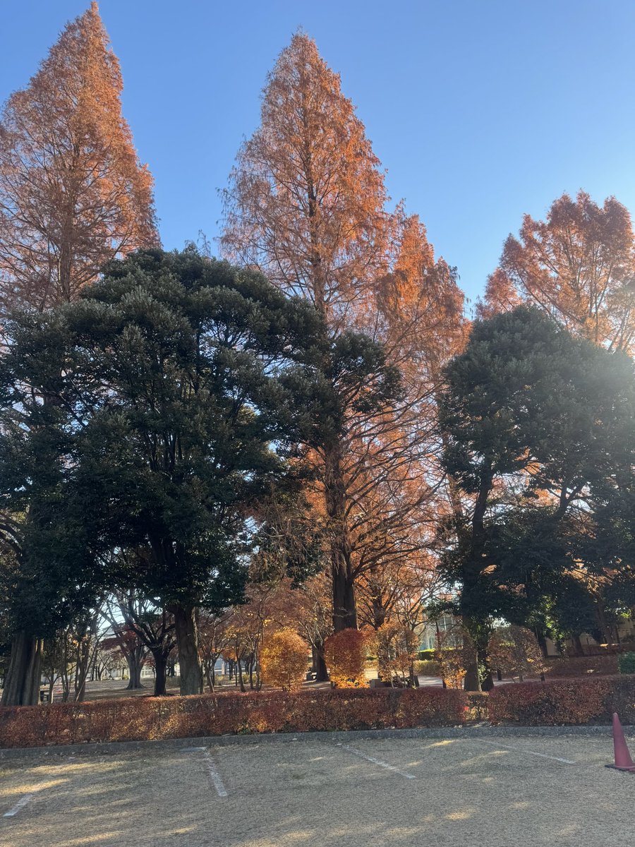 やまっち♪@バイクの事は何もわかりません♪ tweet media